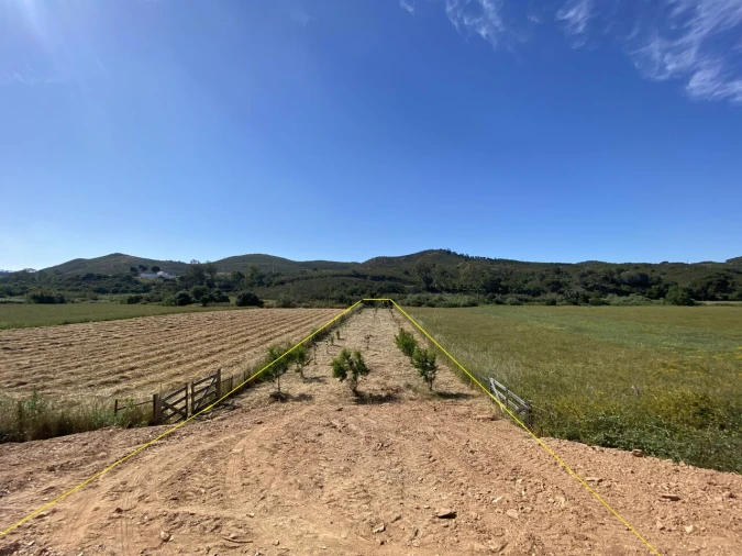 Terreno para Venda em Bordeira Foto 7
