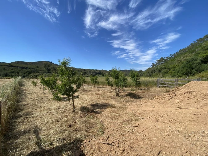 Terreno para Venda em Bordeira Foto 8
