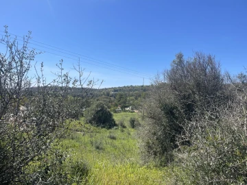 Terreno para Venda em Luz