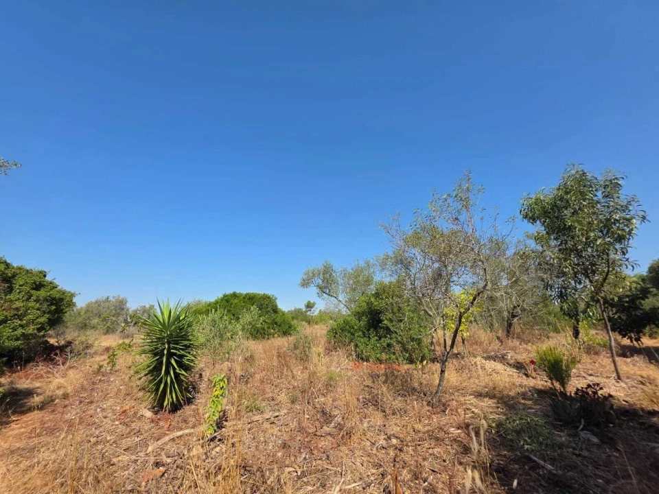 Terreno para Venda em Bensafrim e Barão de São João Foto 10