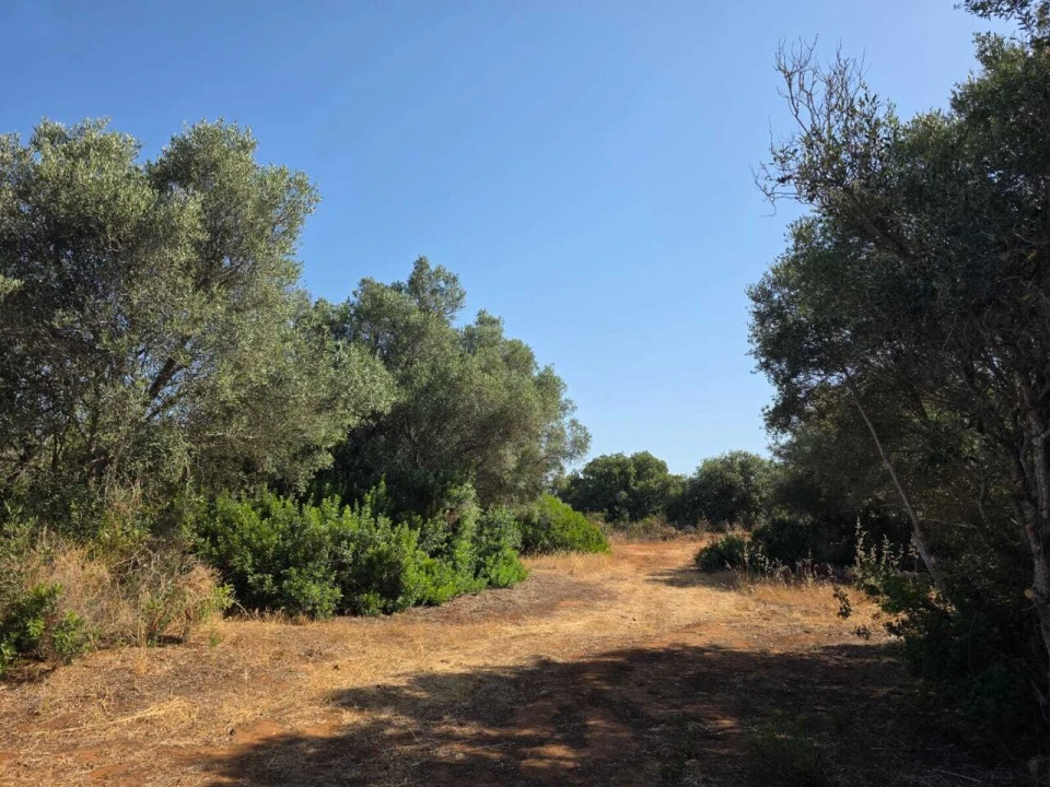 Terreno para Venda em Bensafrim e Barão de São João Foto 11
