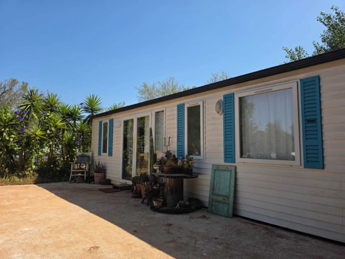 Terreno para Venda em Bensafrim e Barão de São João Foto 7