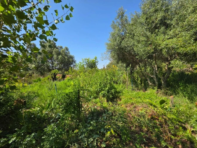 Terreno para Venda em Bensafrim e Barão de São João Foto 8