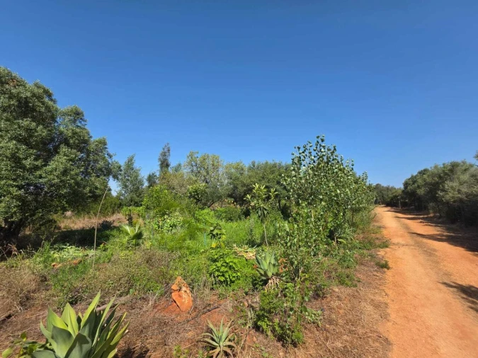 Terreno para Venda em Bensafrim e Barão de São João Foto 1