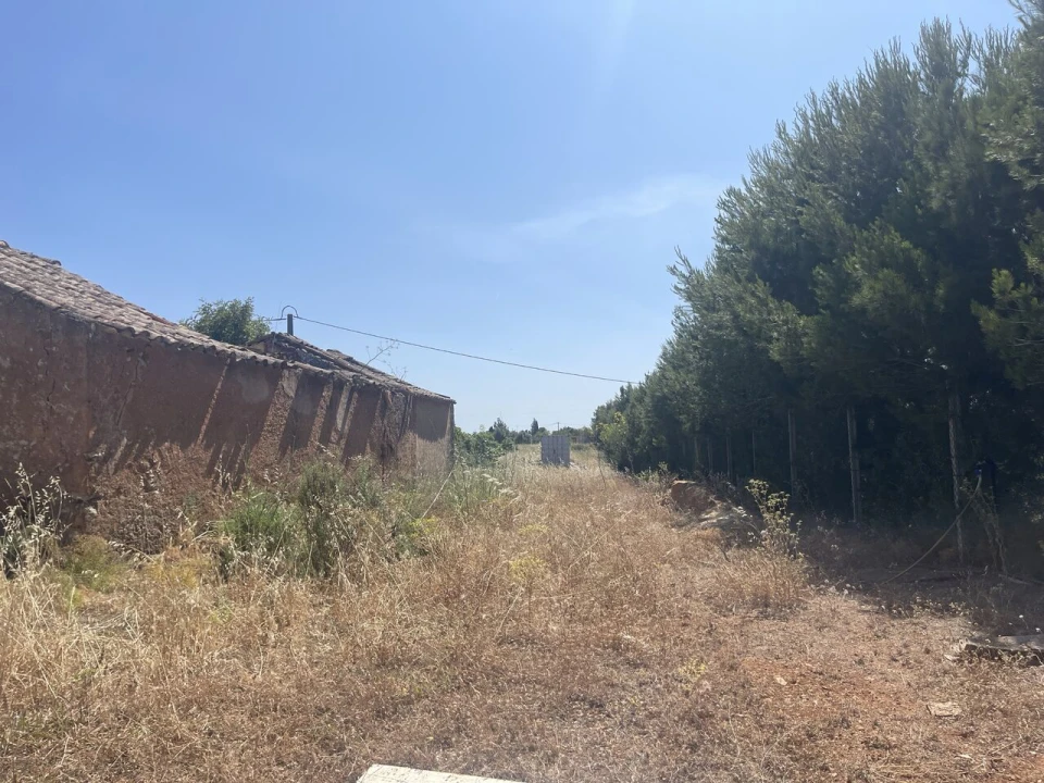 Terreno para Venda em Bensafrim e Barão de São João Foto 3