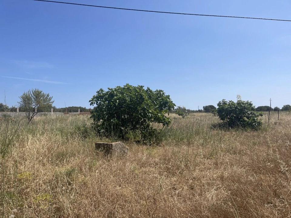 Terreno para Venda em Bensafrim e Barão de São João Foto 2