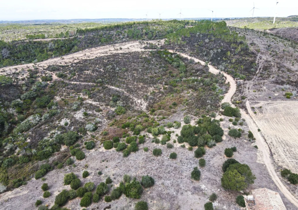Terreno para Venda em Bordeira Foto 9