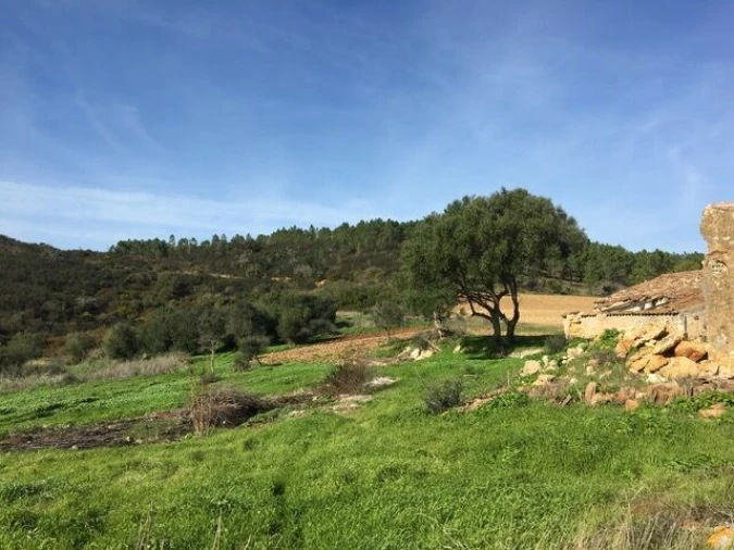Terreno para Venda em Bordeira Foto 3