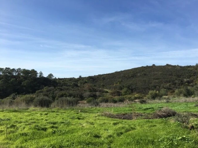 Terreno para Venda em Bordeira Foto 4
