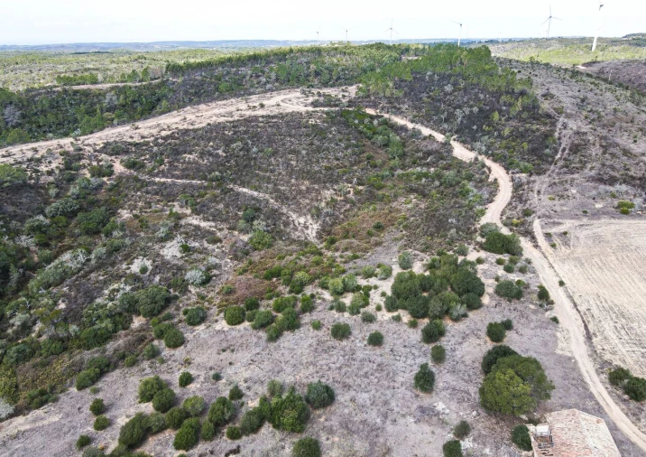 Terreno para Venda em Bordeira Foto 9