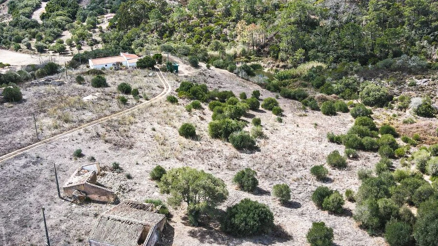 Terreno para Venda em Bordeira