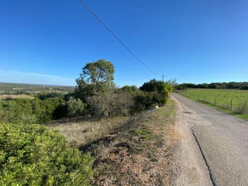 Terreno para Venda em Luz