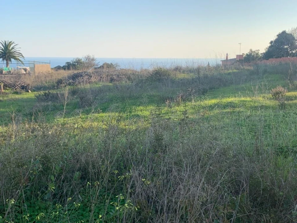 Terreno para Venda em Luz Foto 3