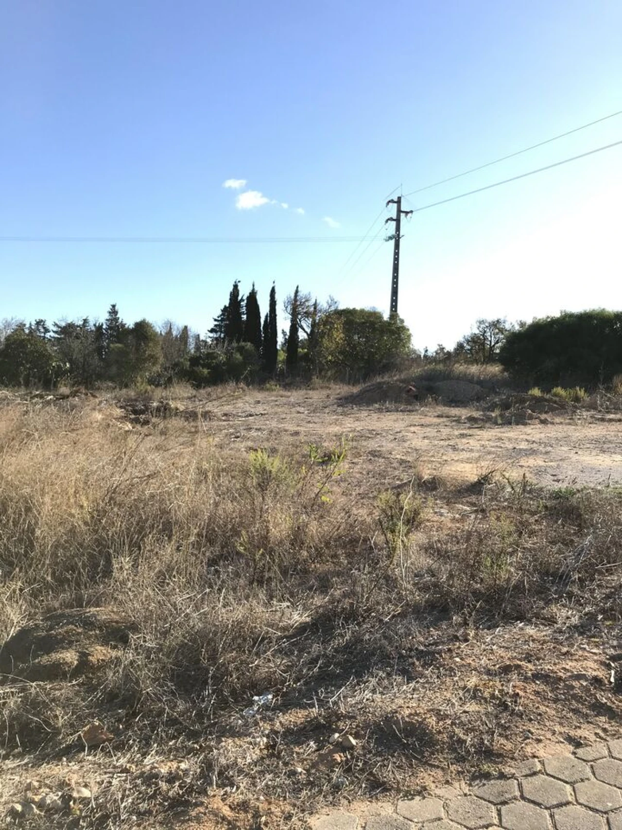 Terreno para Venda em Luz Foto 2