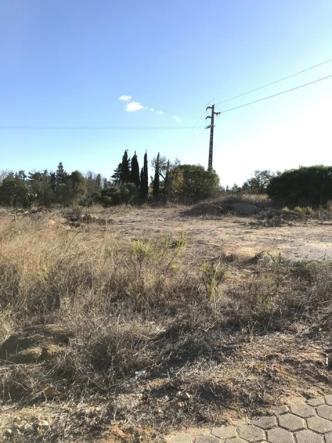 Terreno para Venda em Luz