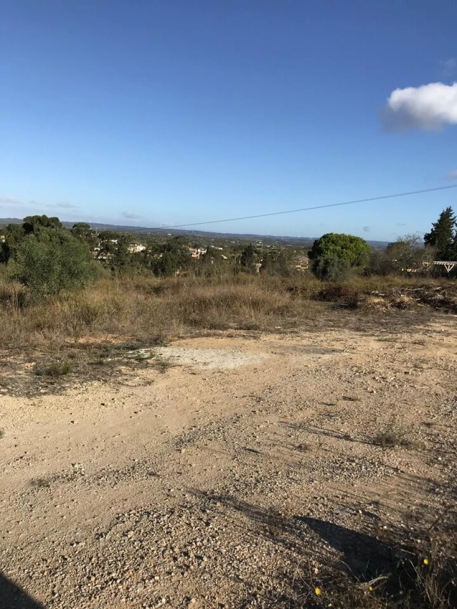 Terreno para Venda em Luz Foto 3
