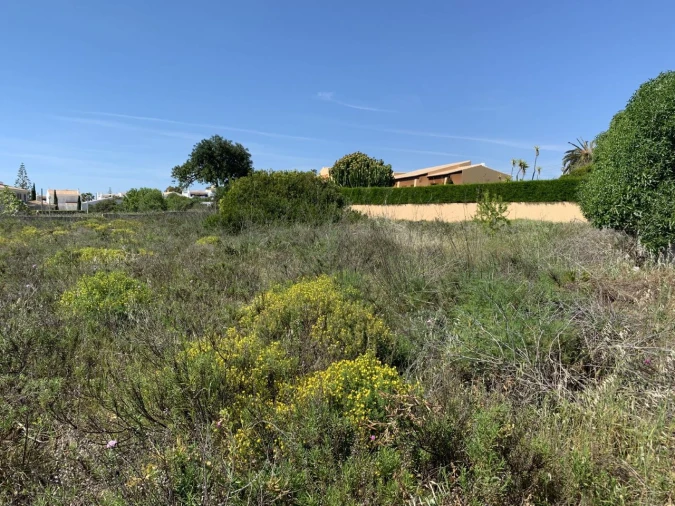 Terreno para Venda em Luz Foto 4
