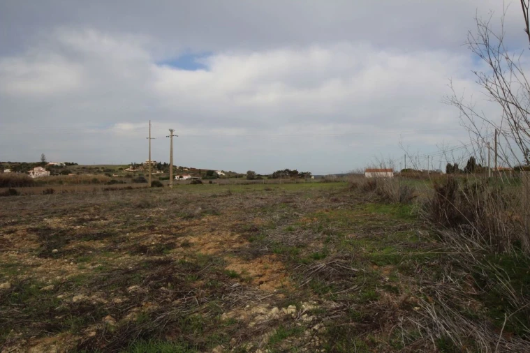 Terreno para Venda em Luz Foto 3
