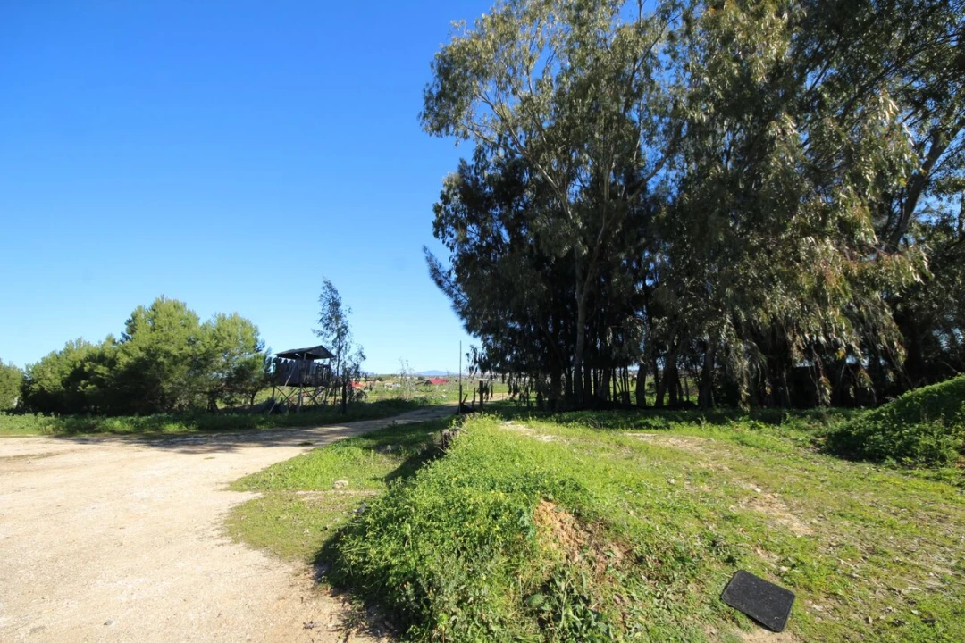 Moradia T6 para Venda em Odiaxere Foto 4