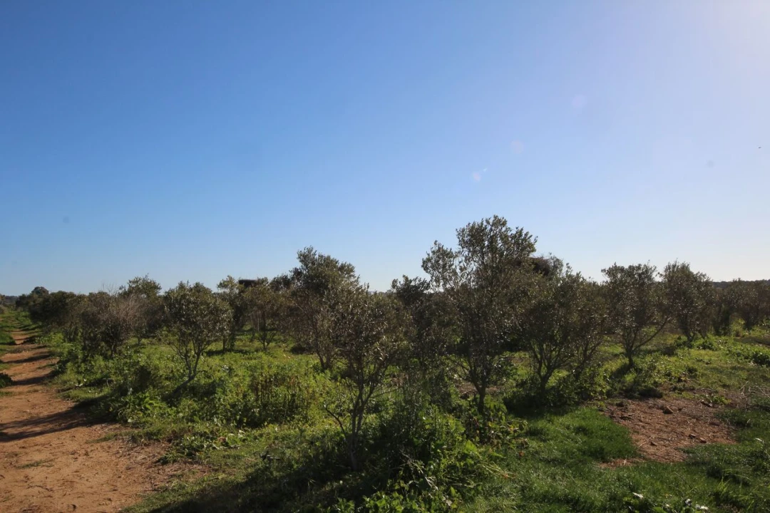 Moradia T6 para Venda em Odiaxere Foto 20