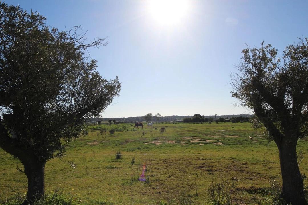 Moradia T6 para Venda em Odiaxere Foto 22