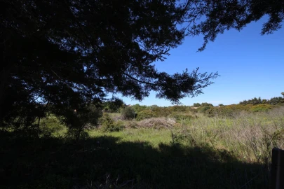Terreno para Venda em Luz
