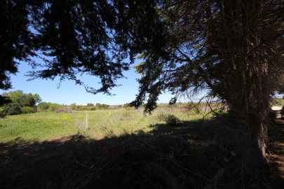 Terreno para Venda em Luz