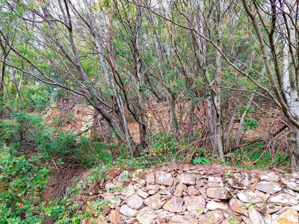 Quinta T5 para Venda em Monchique Foto 17