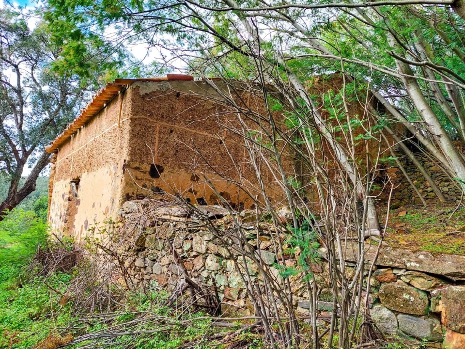 Quinta T5 para Venda em Monchique Foto 18