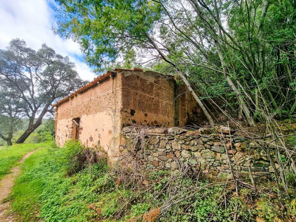 Quinta T5 para Venda em Monchique Foto 27