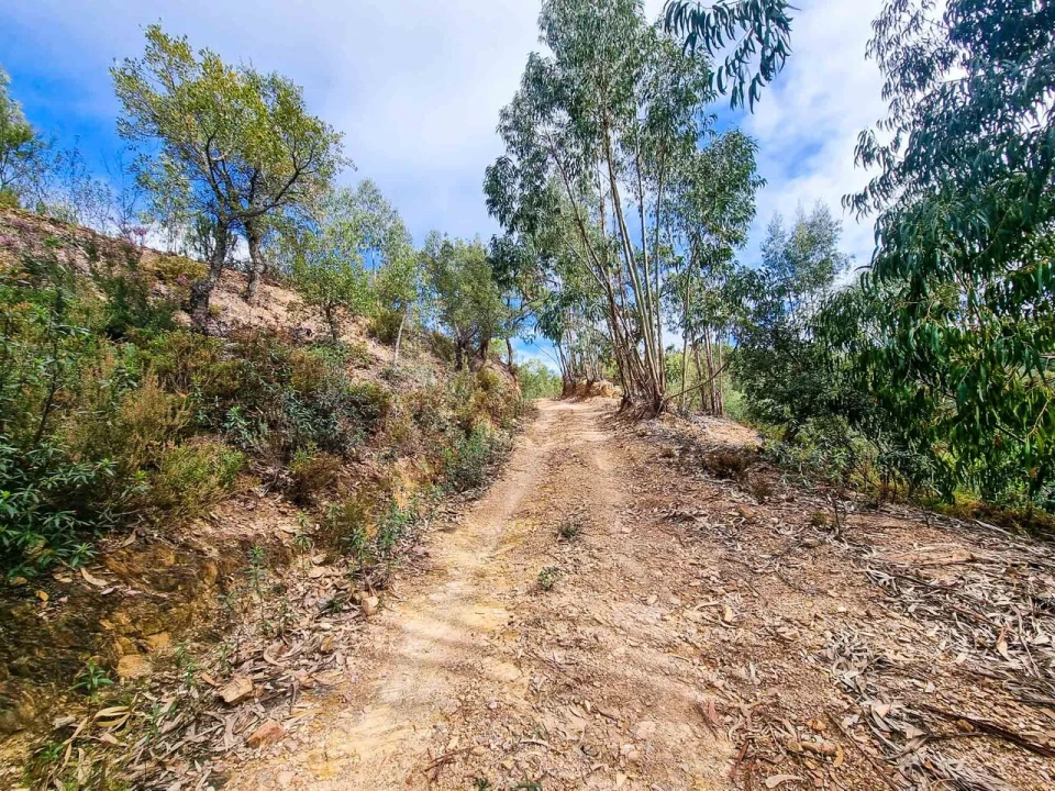 Quinta T5 para Venda em Monchique Foto 42