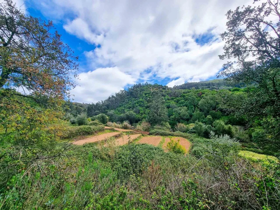 Quinta T5 para Venda em Monchique Foto 38