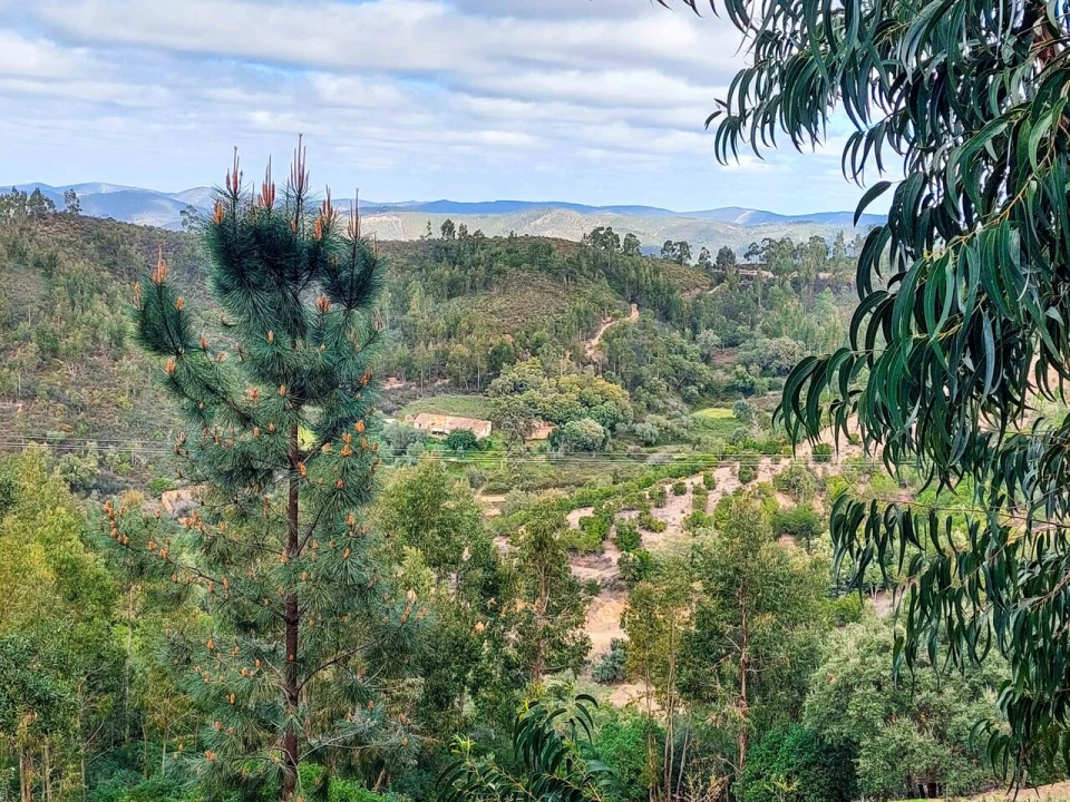 Quinta T5 para Venda em Monchique Foto 43