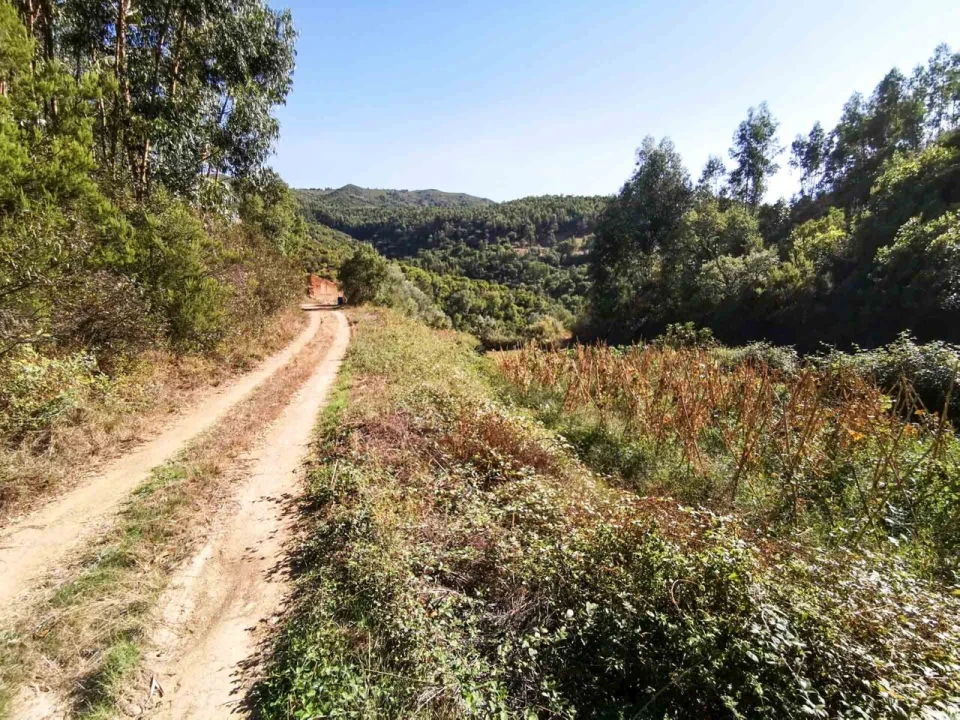 Quinta T5 para Venda em Monchique Foto 39