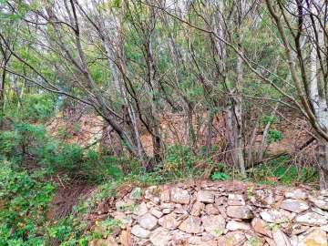 Quinta T5 para Venda em Monchique