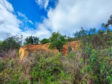 Quinta T5 para Venda em Monchique