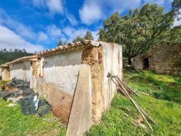 Quinta T5 para Venda em Monchique