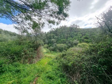 Quinta T5 para Venda em Monchique