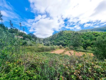 Quinta T5 para Venda em Monchique