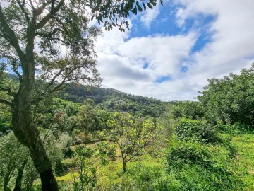 Quinta T5 para Venda em Monchique