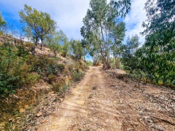 Quinta T5 para Venda em Monchique