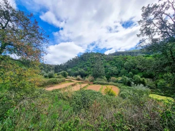 Quinta T5 para Venda em Monchique