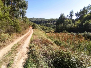 Quinta T5 para Venda em Monchique