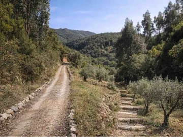 Quinta T5 para Venda em Monchique