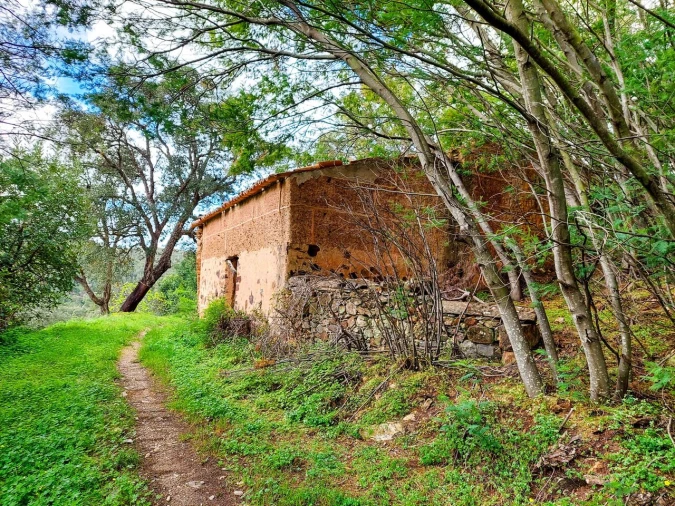 Quinta T5 para Venda em Monchique Foto 14