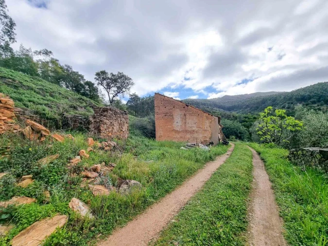 Quinta T5 para Venda em Monchique Foto 9