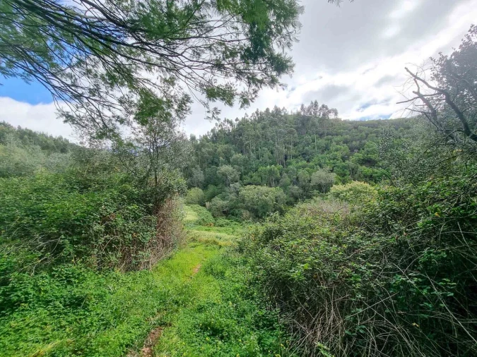 Quinta T5 para Venda em Monchique Foto 32