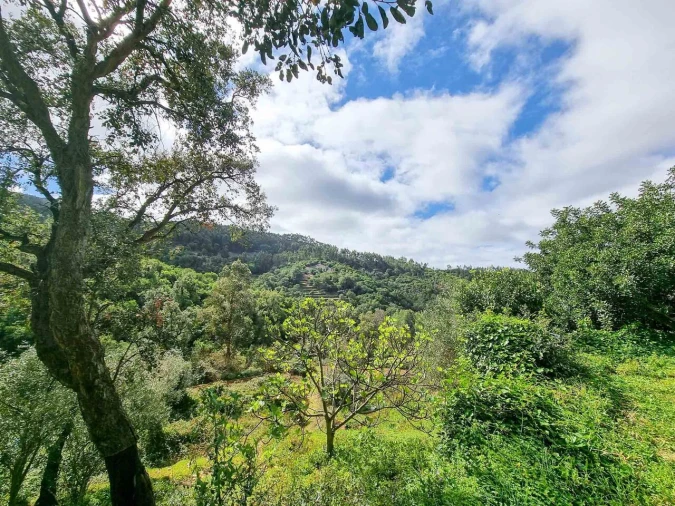 Quinta T5 para Venda em Monchique Foto 36