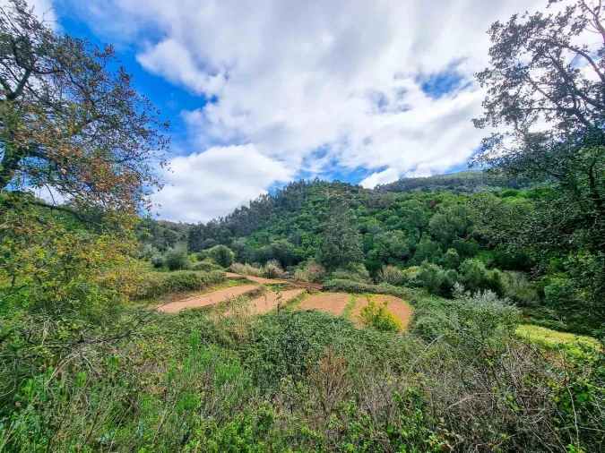Quinta T5 para Venda em Monchique Foto 38