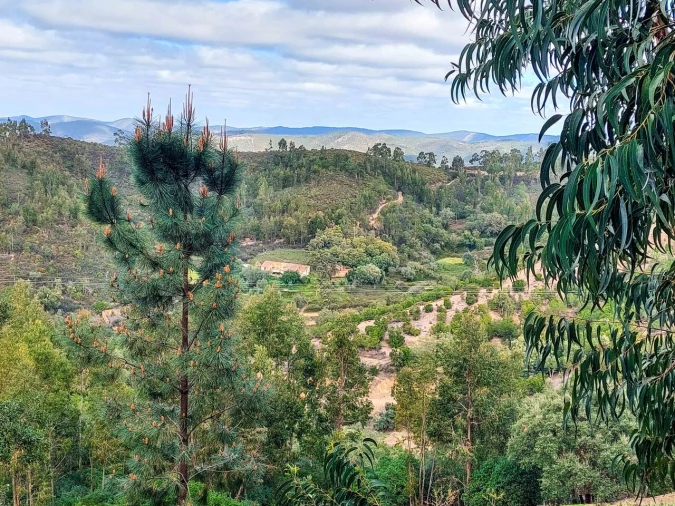 Quinta T5 para Venda em Monchique Foto 43